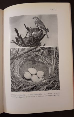 NOI E I NOSTRI COMPAGNI DI VIAGGIO, MARIA BARGONI STURA, G. PRINCIPATO 1941. - Foto 4