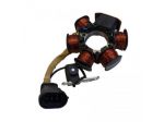 Statore scooter 50 Piaggio Gilera Aprilia Derbi Italjet dal 2000