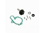 Kit revisione pompa acqua Minarelli AM6