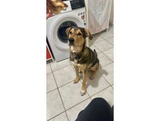 Ares
