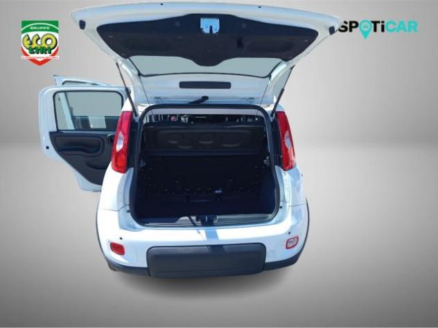FIAT Panda 1.0 FireFly S&S Hybrid rif. 23820569 - Foto 10