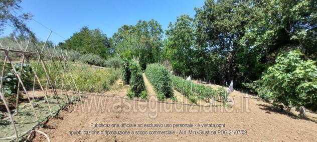 IMMOBILI-ALTRA CATEGORIA-Località Colle Izzano - Foto 6