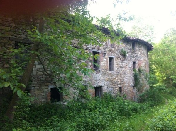 Rustico ex mulino in sassi vic.ze ruscello con terreno 3 ettari - Foto 7