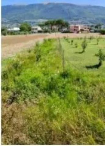 Immobile in asta di 1050 m² in vendita a Spello - Foto 2