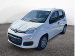 FIAT Pandina HYBRID 1.0 65cv Hybrid Icon