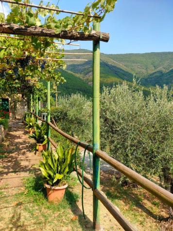 Casale in vendita a Castelmaggiore - Calci 160 mq Rif: 1281754 - Foto 10