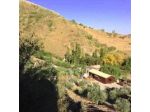 Agriturismo Gelso