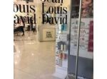 Jean Louis David