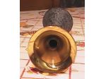 TROMBA DEL POSTIGLIONE A POMPA