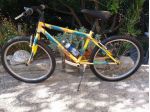Bici ragazzo