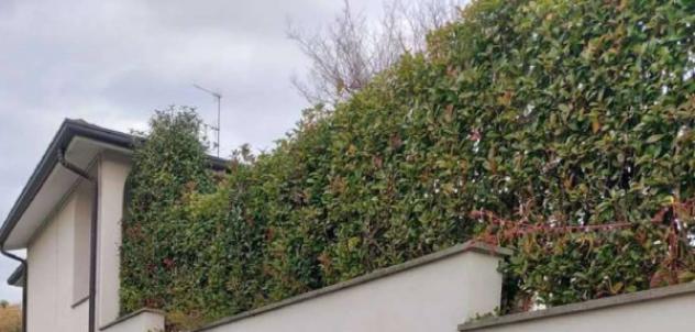 Immobile in asta di 361 m², box auto doppio in vendita a Carvico - Foto 2