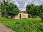 Casale in vendita a Borgia