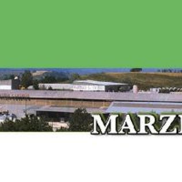 Marziali