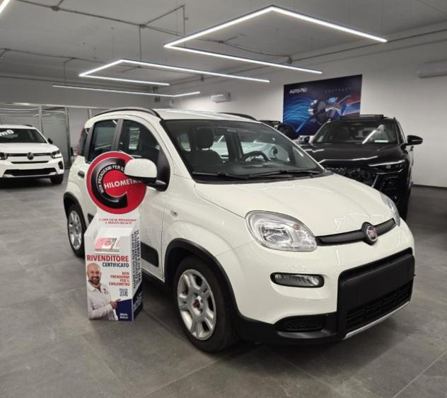 FIAT Panda 1.0 FireFly Hybrid rif. 24013948