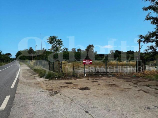 Terreno Residenziale - Pastorano . Rif.: Cod. rif 3318412VRG
