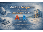 Disegnatore AutoCAD e REVIT online (da remoto)