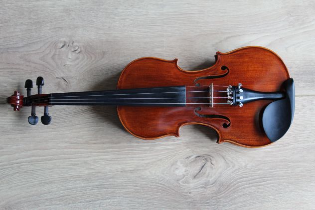 Violinista