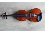 Violinista