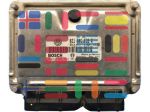 0261206814 021906018R Volkswagen Golf VR6 centralina motore Bosch