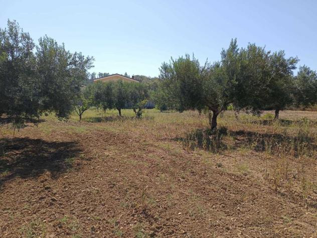 Seminativo in vendita a Balestrate - Foto 6