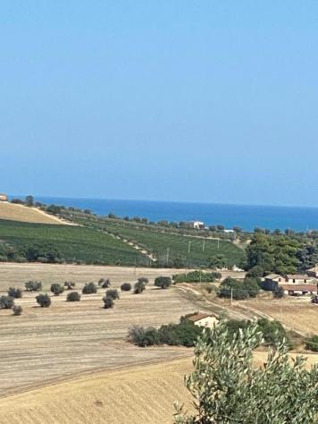 Agricolo in vendita a Colonnella - Foto 2