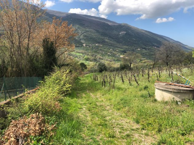 Roccadaspide loc. Fonte terreno agricolo - Foto 3