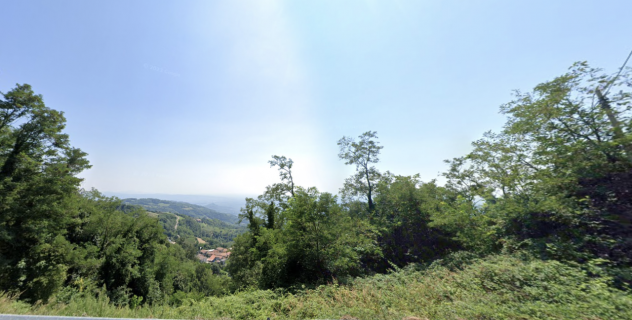 Bosco in vendita a Roncà