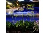 Residence Le Palme