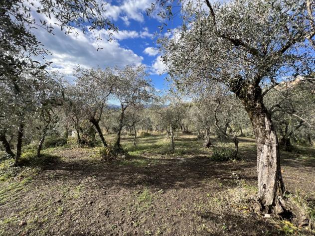 Rustico in vendita a Fosdinovo - Foto 14