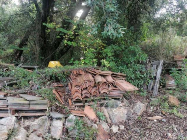 Immobile in asta di 3385 m² in vendita a Monte Argentario - Foto 3
