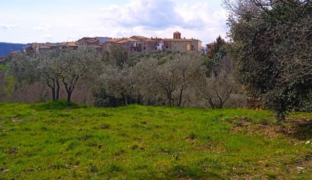 Pentalocale in vendita a Parrano - Foto 16