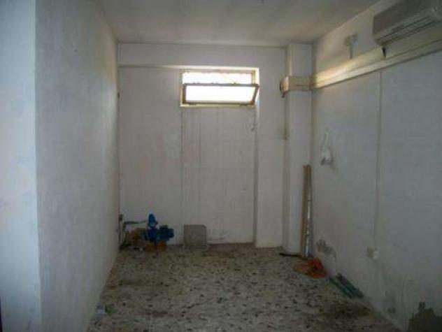 fond lamm 1200 - Negozio a Capannori - Lammari - Foto 9