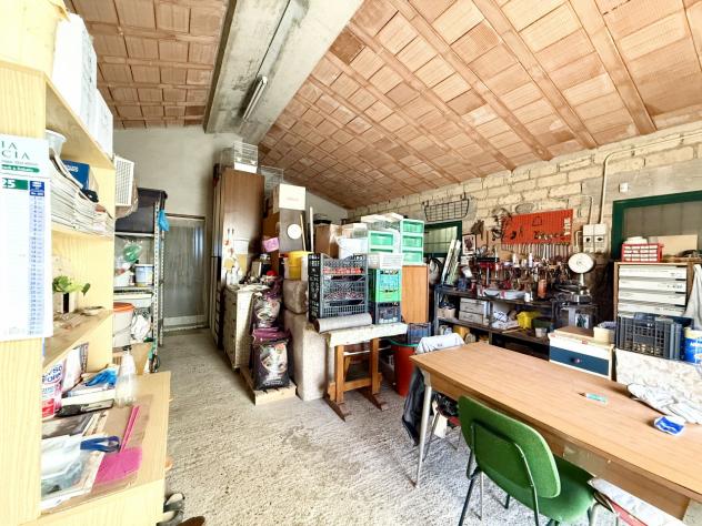 TERRENO AGRICOLO di 3 vani e di 142179 mq (GROSSETO - Istia d'Ombrone) rif. TE.41 - Foto 12
