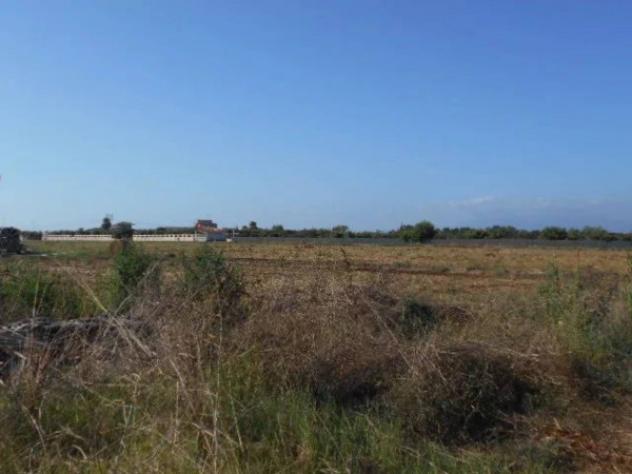 Immobile in asta di 82648 m² in vendita a Latina - Foto 10