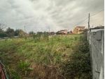 Terreno edif. residenziale in vendita a Luni 1900 mq  Rif: 1399344