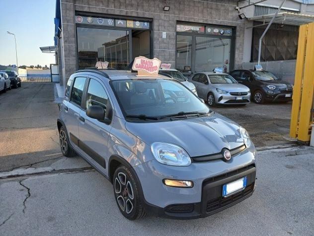 FIAT PANDA HYBRID 1.0 FireFly 70 CV S&S CITY LIFE - Foto 3