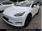 TESLA Model Y Long Range AWD rif. 23742376