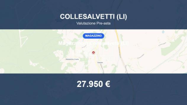 Immobile in asta di 11173 m² in vendita a Collesalvetti