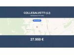 Immobile in asta di 11173 m² in vendita a Collesalvetti