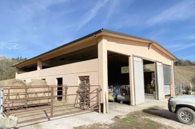 Immobile in asta di 56 m² in vendita a Pergola - Foto 14