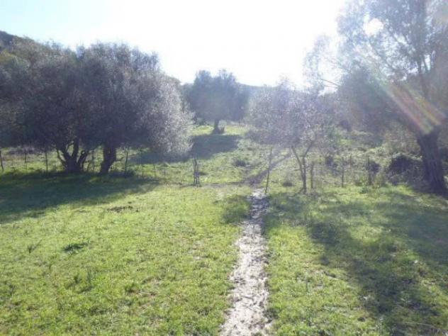 Immobile in asta di 6430 m² in vendita a Casignana - Foto 16