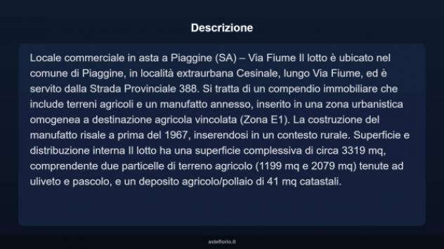 Immobile in asta di 3319 m² in vendita a Piaggine - Foto 4