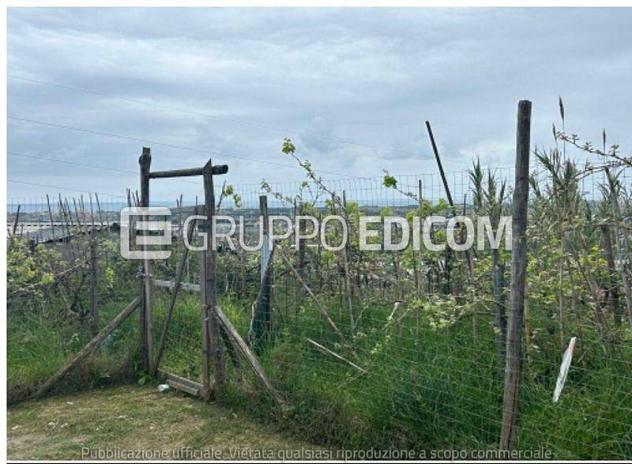 Terreno in vendita a Massa - Rif. 3559520 - Foto 8