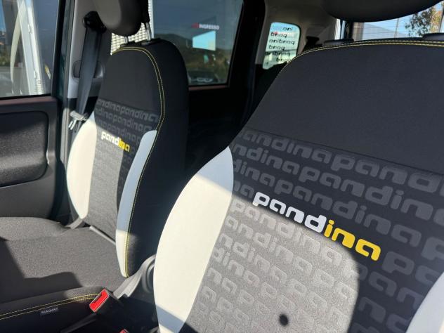 FIAT Pandina Pandina Cross 1.0 firefly hybrid s&s 65cv - Foto 10