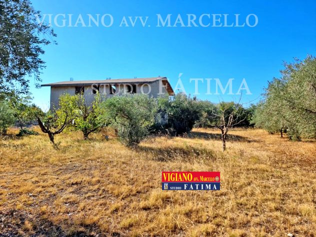 FOGGIA - VENDESI - SALICE VECCHIO - FABBRICATO SU 2 LIVELLI DI MQ.240 + TERRENO - Foto 9