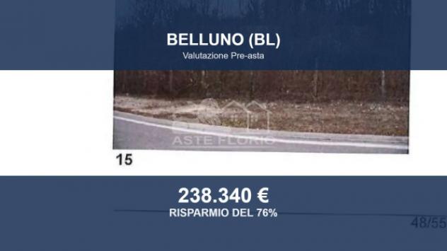Immobile in asta di 87578 m² in vendita a Belluno