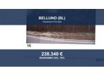 Immobile in asta di 87578 m² in vendita a Belluno