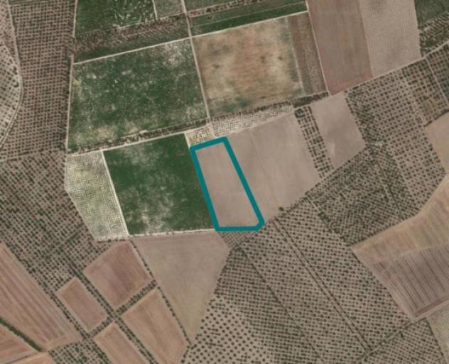 Immobile in asta di 25280 m² in vendita a Cerignola