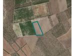 Immobile in asta di 25280 m² in vendita a Cerignola