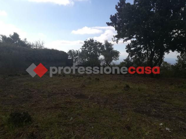 Terreno Agricolo - Belpasso . Rif.: V/108VCG - Foto 3